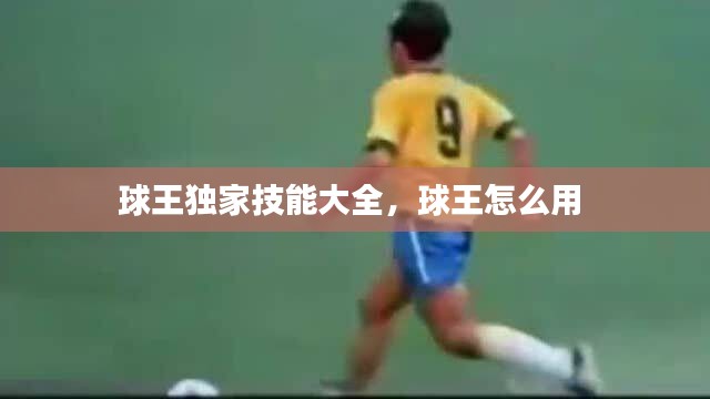 球王獨家技能大全，球王怎么用 