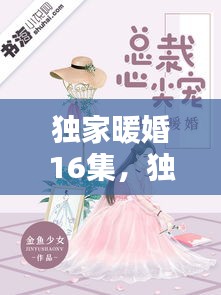 獨(dú)家暖婚16集，獨(dú)家暖寵 