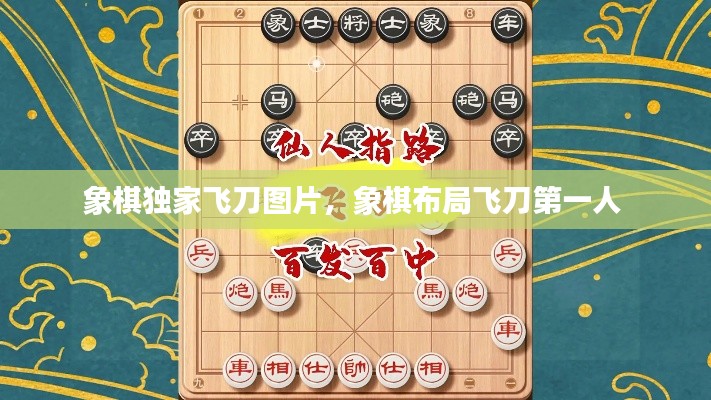 象棋獨(dú)家飛刀圖片，象棋布局飛刀第一人 