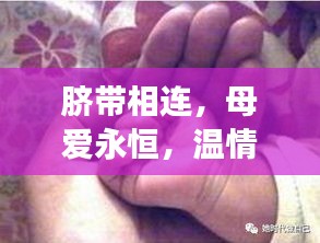 臍帶相連，母愛永恒，溫情長存