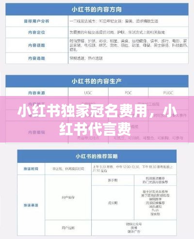 小紅書獨(dú)家冠名費(fèi)用，小紅書代言費(fèi) 