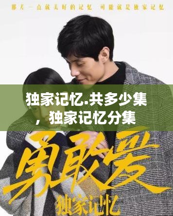 獨(dú)家記憶.共多少集，獨(dú)家記憶分集 