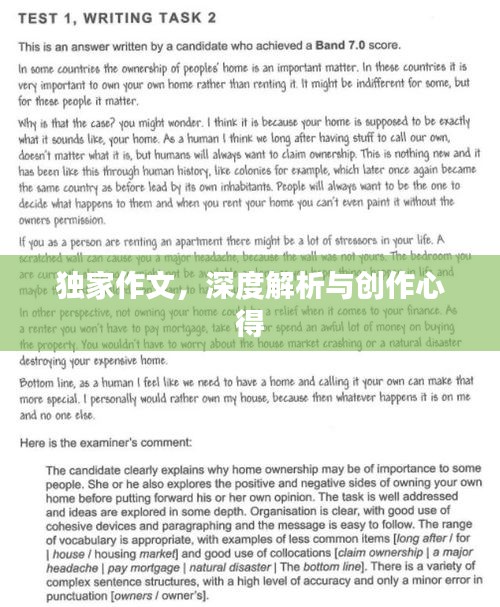 獨(dú)家作文，深度解析與創(chuàng)作心得