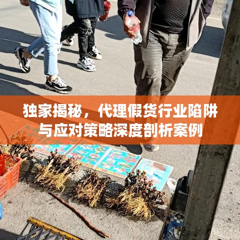 獨(dú)家揭秘，代理假貨行業(yè)陷阱與應(yīng)對(duì)策略深度剖析案例