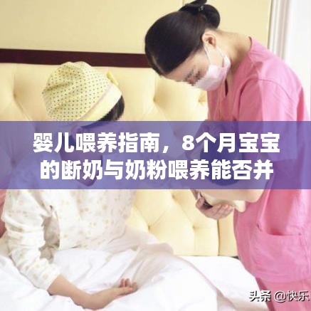 嬰兒喂養(yǎng)指南，8個月寶寶的斷奶與奶粉喂養(yǎng)能否并行？