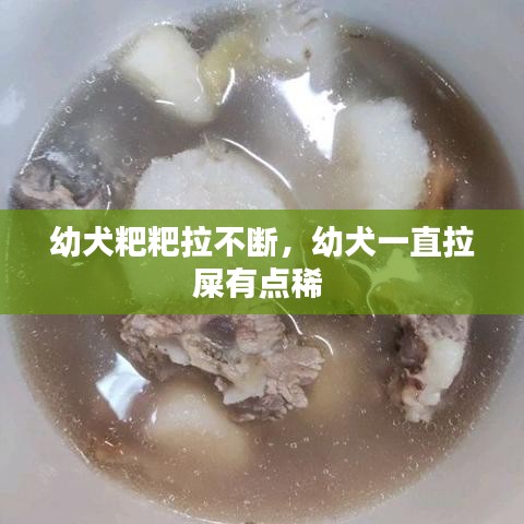幼犬粑粑拉不斷，幼犬一直拉屎有點(diǎn)稀 
