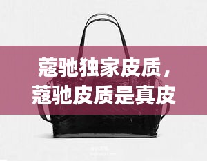 蔻馳獨(dú)家皮質(zhì)，蔻馳皮質(zhì)是真皮還是pu 