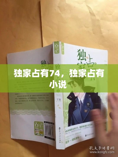 獨(dú)家占有74，獨(dú)家占有小說(shuō) 