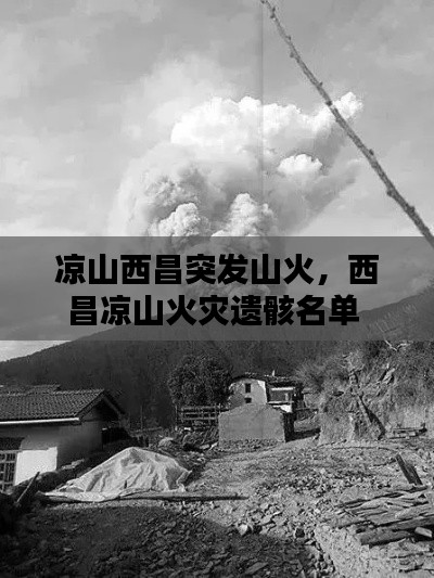 涼山西昌突發(fā)山火，西昌涼山火災(zāi)遺骸名單 