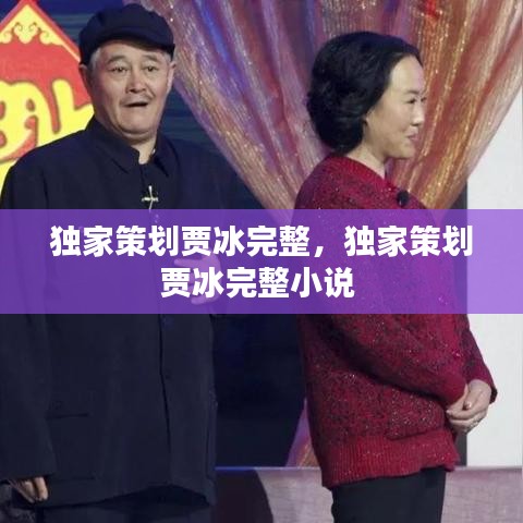 獨(dú)家策劃賈冰完整，獨(dú)家策劃賈冰完整小說 