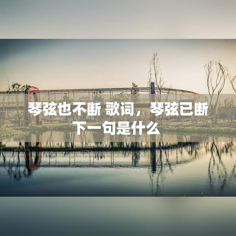 琴弦也不斷 歌詞，琴弦已斷下一句是什么 
