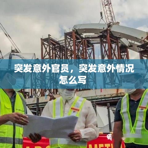 突發(fā)意外官員，突發(fā)意外情況怎么寫(xiě) 
