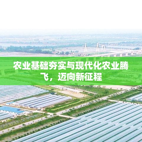 農業(yè)基礎夯實與現(xiàn)代化農業(yè)騰飛，邁向新征程
