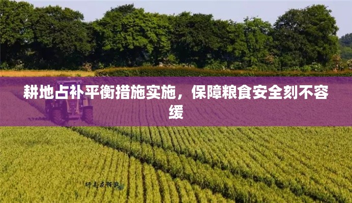 耕地占補平衡措施實施，保障糧食安全刻不容緩