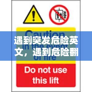 遇到突發(fā)危險(xiǎn)英文，遇到危險(xiǎn)翻譯 