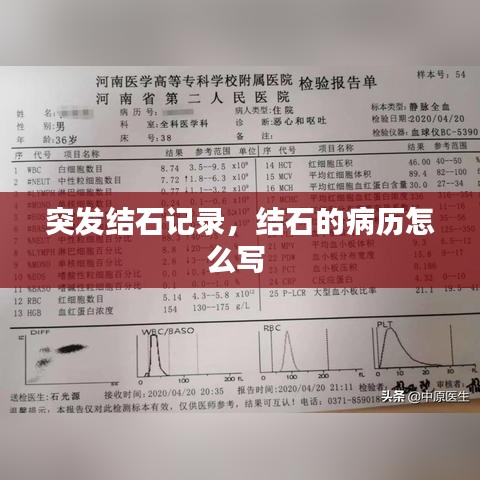 越鳥南棲 第2頁