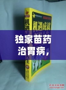 獨家苗藥治胃病，古老智慧綻放現(xiàn)代光芒