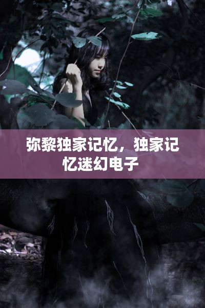 彌黎獨(dú)家記憶，獨(dú)家記憶迷幻電子 