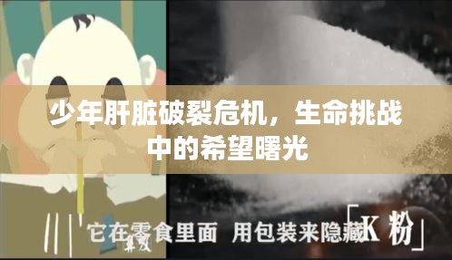 少年肝臟破裂危機，生命挑戰(zhàn)中的希望曙光