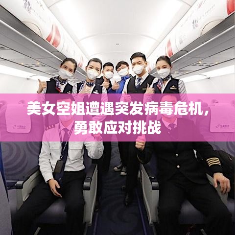 美女空姐遭遇突發(fā)病毒危機(jī)，勇敢應(yīng)對挑戰(zhàn)