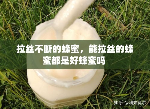 拉絲不斷的蜂蜜，能拉絲的蜂蜜都是好蜂蜜嗎 