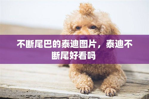 萍水相逢 第2頁(yè)