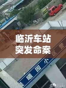 臨沂車站突發(fā)命案揭秘，真相報(bào)道與分析