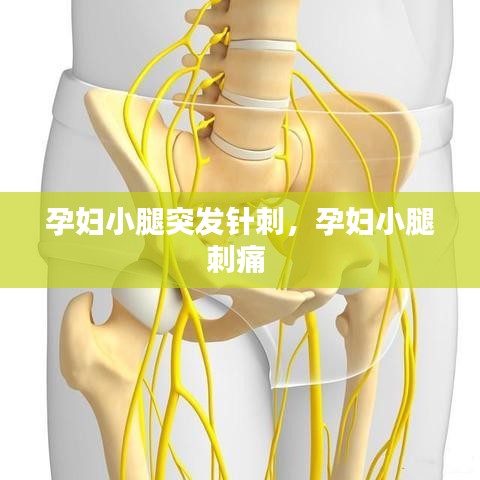 孕婦小腿突發(fā)針刺，孕婦小腿刺痛 