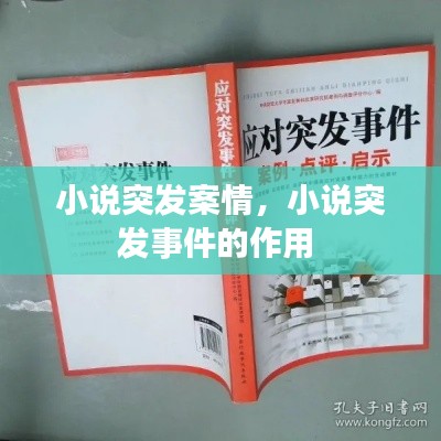 小說(shuō)突發(fā)案情，小說(shuō)突發(fā)事件的作用 