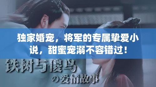 獨(dú)家婚寵，將軍的專屬摯愛小說，甜蜜寵溺不容錯(cuò)過！