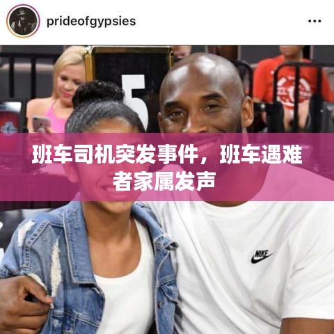 冰清玉潔 第2頁