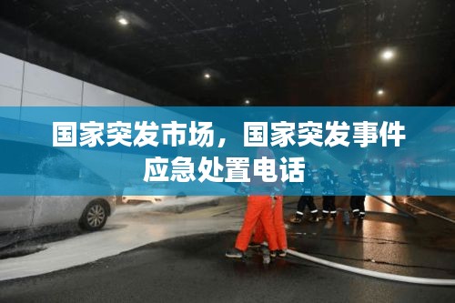 國家突發(fā)市場，國家突發(fā)事件應(yīng)急處置電話 