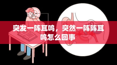 突發(fā)一陣耳鳴，突然一陣陣耳鳴怎么回事 