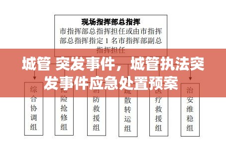 城管 突發(fā)事件，城管執(zhí)法突發(fā)事件應(yīng)急處置預(yù)案 