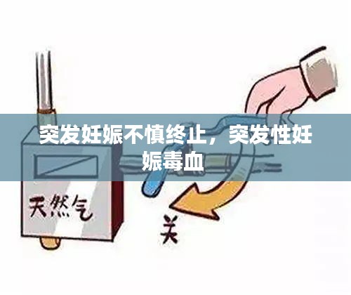 突發(fā)妊娠不慎終止，突發(fā)性妊娠毒血 