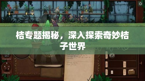 桔專題揭秘，深入探索奇妙桔子世界