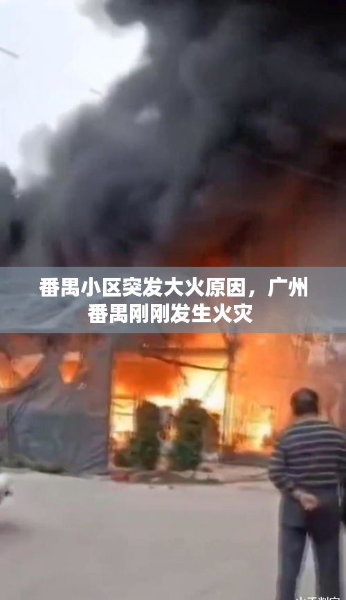 番禺小區(qū)突發(fā)大火原因，廣州番禺剛剛發(fā)生火災(zāi) 