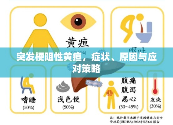 突發(fā)梗阻性黃疸，癥狀、原因與應(yīng)對(duì)策略