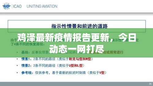 雞澤最新疫情報(bào)告更新，今日動(dòng)態(tài)一網(wǎng)打盡