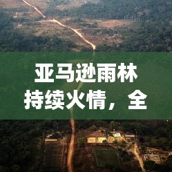亞馬遜雨林持續(xù)火情，全球面臨嚴峻生態(tài)挑戰(zhàn)