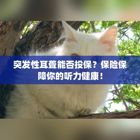 突發(fā)性耳聾能否投保？保險(xiǎn)保障你的聽(tīng)力健康！