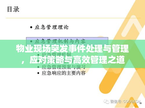 物業(yè)現(xiàn)場(chǎng)突發(fā)事件處理與管理，應(yīng)對(duì)策略與高效管理之道