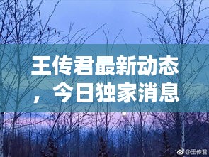 王傳君最新動態(tài)，今日獨家消息揭秘！