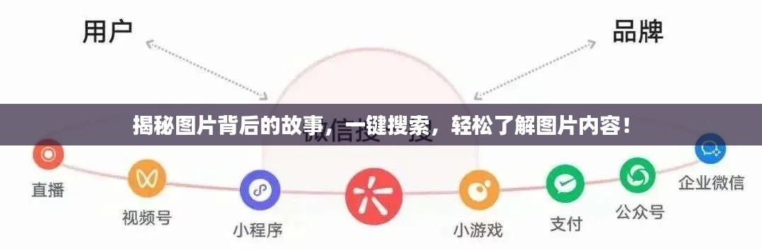 揭秘圖片背后的故事，一鍵搜索，輕松了解圖片內(nèi)容！