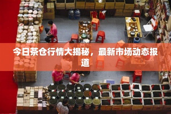 今日茶倉(cāng)行情大揭秘，最新市場(chǎng)動(dòng)態(tài)報(bào)道