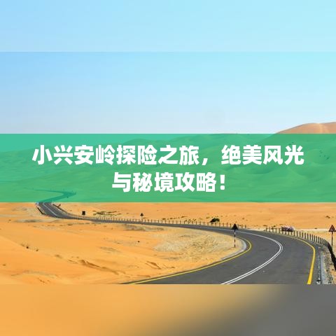 小興安嶺探險之旅，絕美風(fēng)光與秘境攻略！