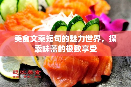 美食文案短句的魅力世界，探索味蕾的極致享受