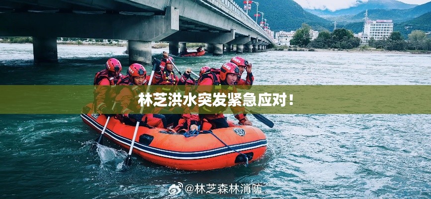 林芝洪水突發(fā)緊急應(yīng)對(duì)！