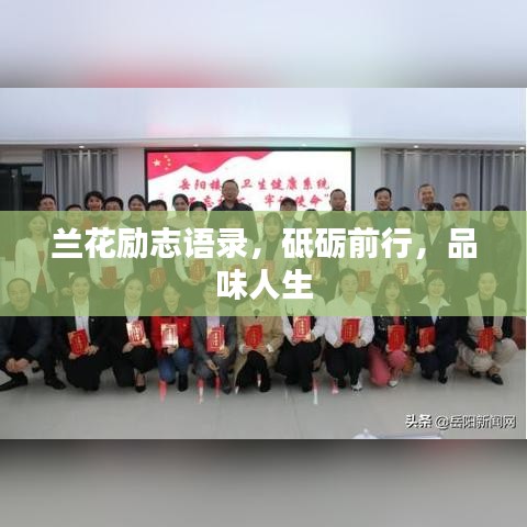 蘭花勵志語錄，砥礪前行，品味人生