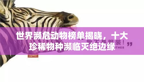 世界瀕危動(dòng)物榜單揭曉，十大珍稀物種瀕臨滅絕邊緣